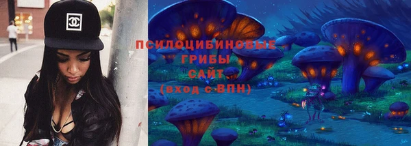 индика Туринск
