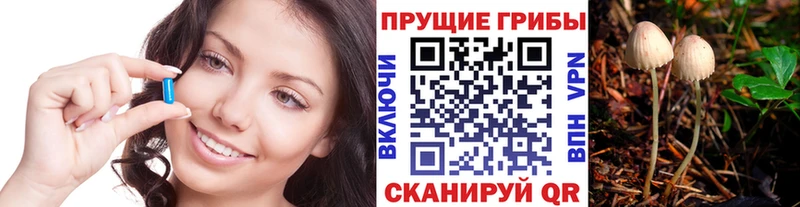 Галлюциногенные грибы мухоморы  Александровское 